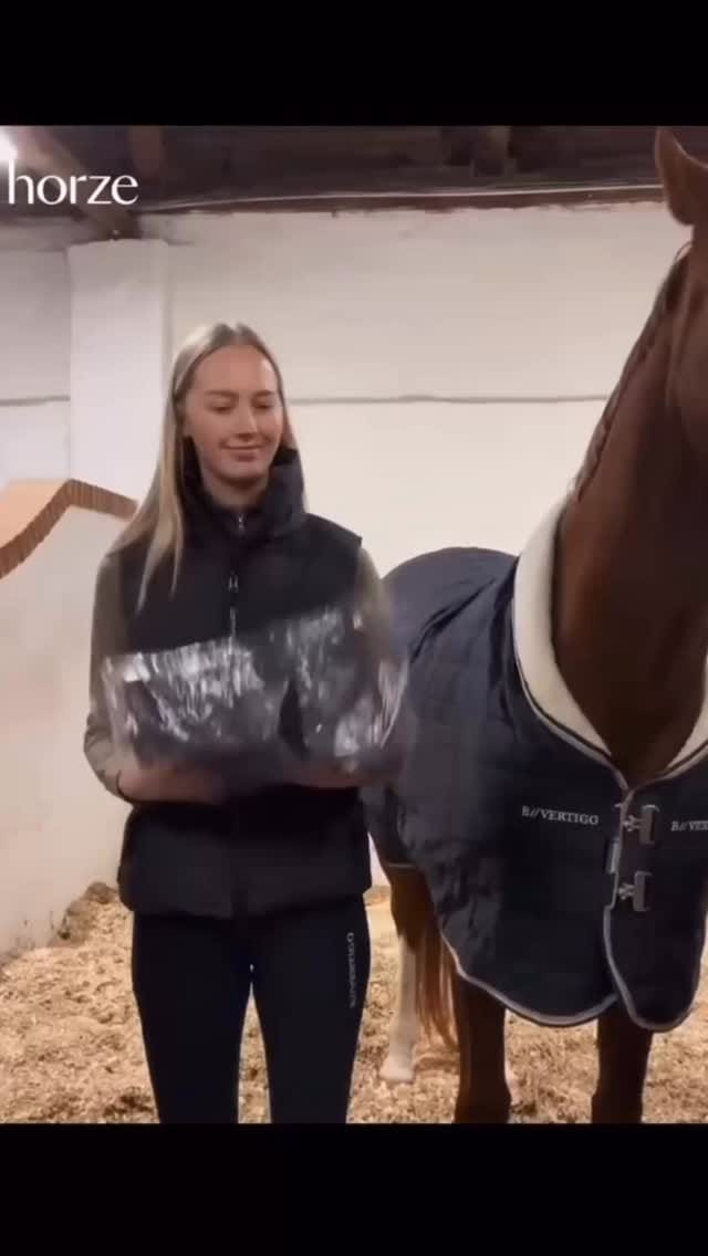 Post 6 by Equestrian Fashion Outfitters on Instagram (video)