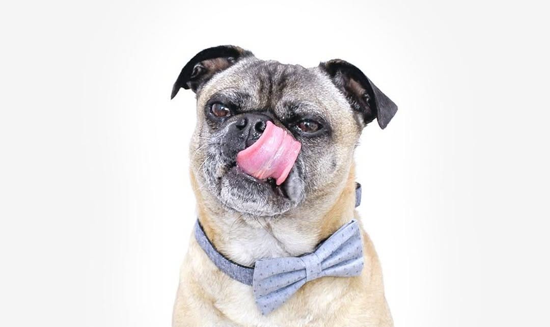Post 8 by DANES & DIVAS® | EST. 2012 on Instagram (image)