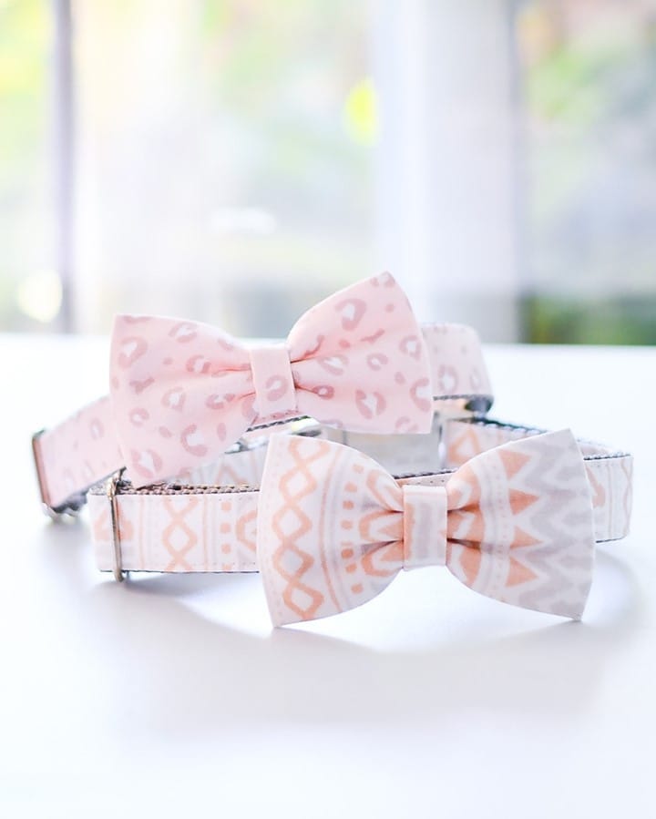Post 6 by DANES & DIVAS® | EST. 2012 on Instagram (image)