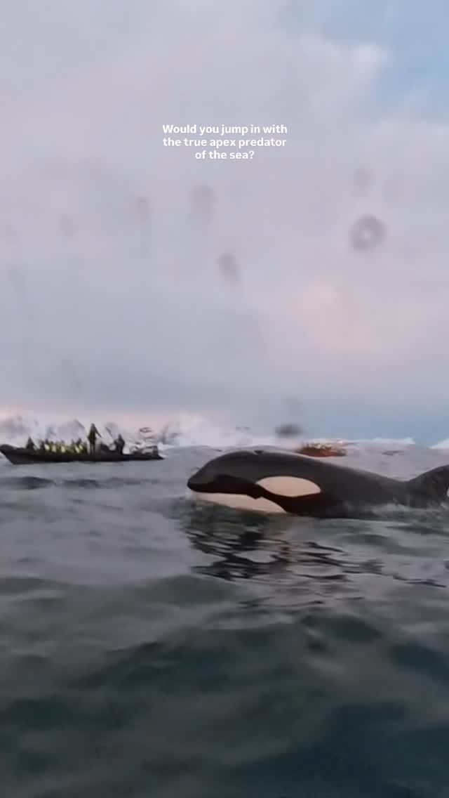 Post 7 by 𝐏𝐎𝐋𝐋𝐘 𝐅𝐑𝐈𝐄𝐑 on Instagram (video)