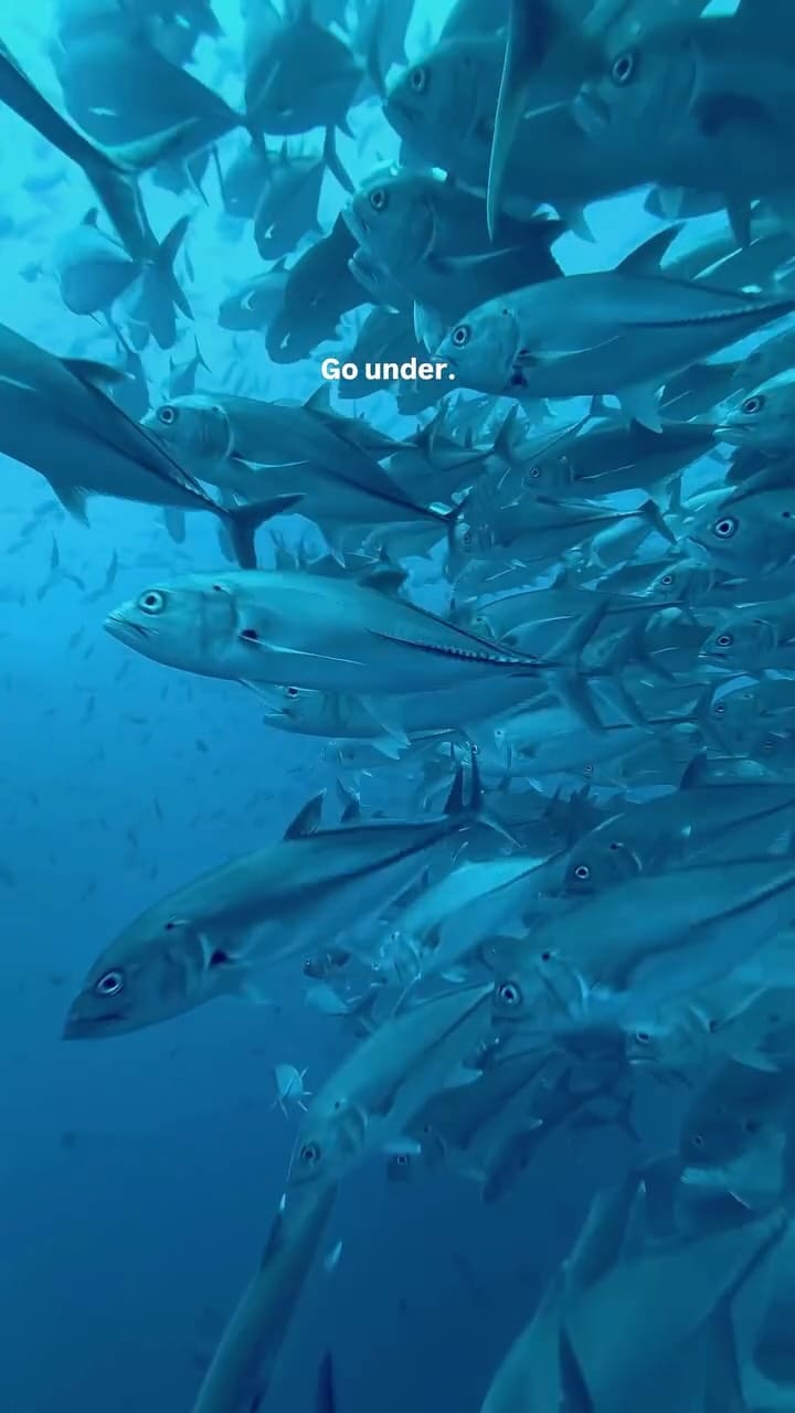 Post 1 by 𝐏𝐎𝐋𝐋𝐘 𝐅𝐑𝐈𝐄𝐑 on Instagram (video)