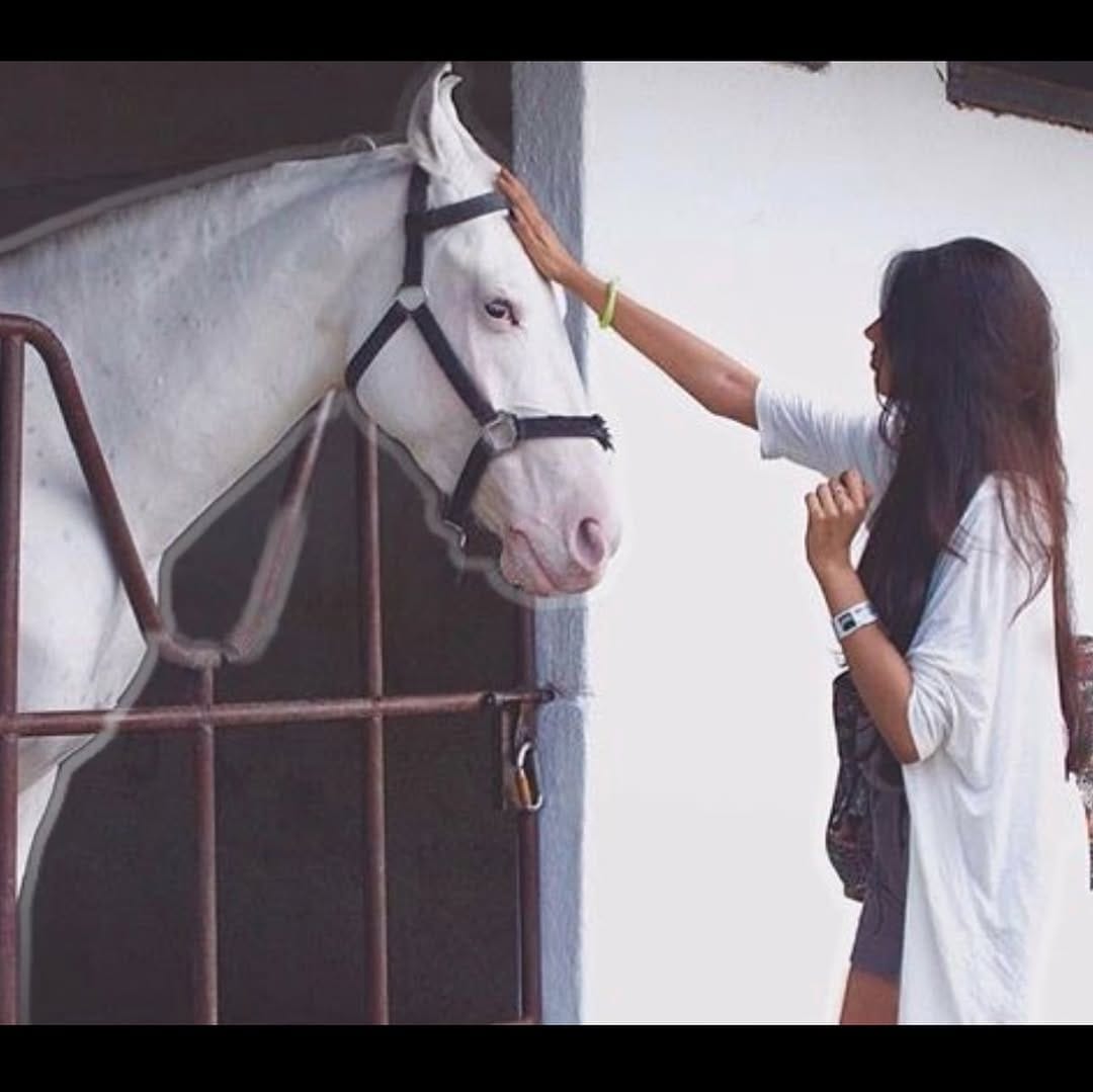 Post 2 by Ananya Chaturvedi on Instagram (carousel)