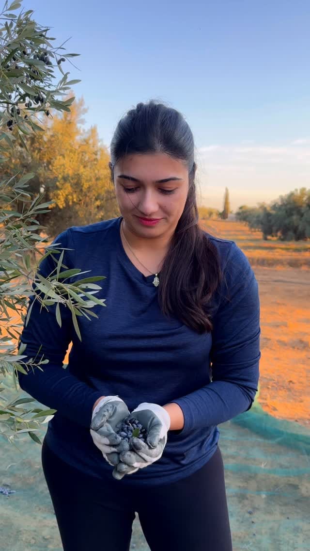 Post 3 by Maleha Khan on Instagram (video)