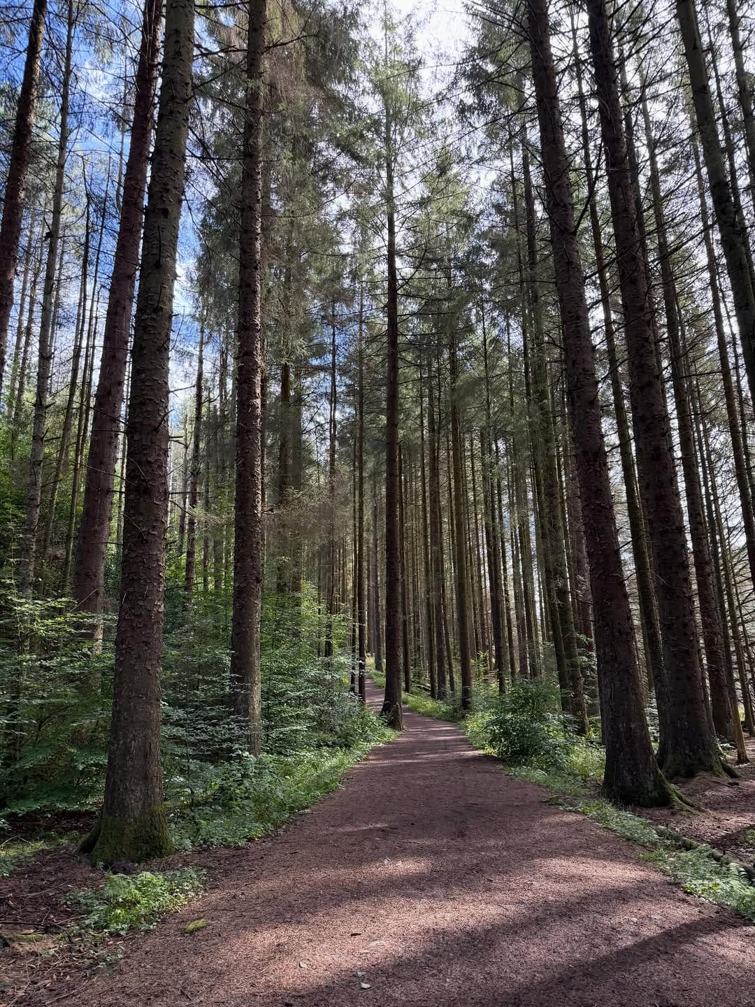 Post 1 by SURREY FRILLS - Local Fashion, Beauty & Wellness 👗💄🧘‍♀️ on Instagram (carousel)