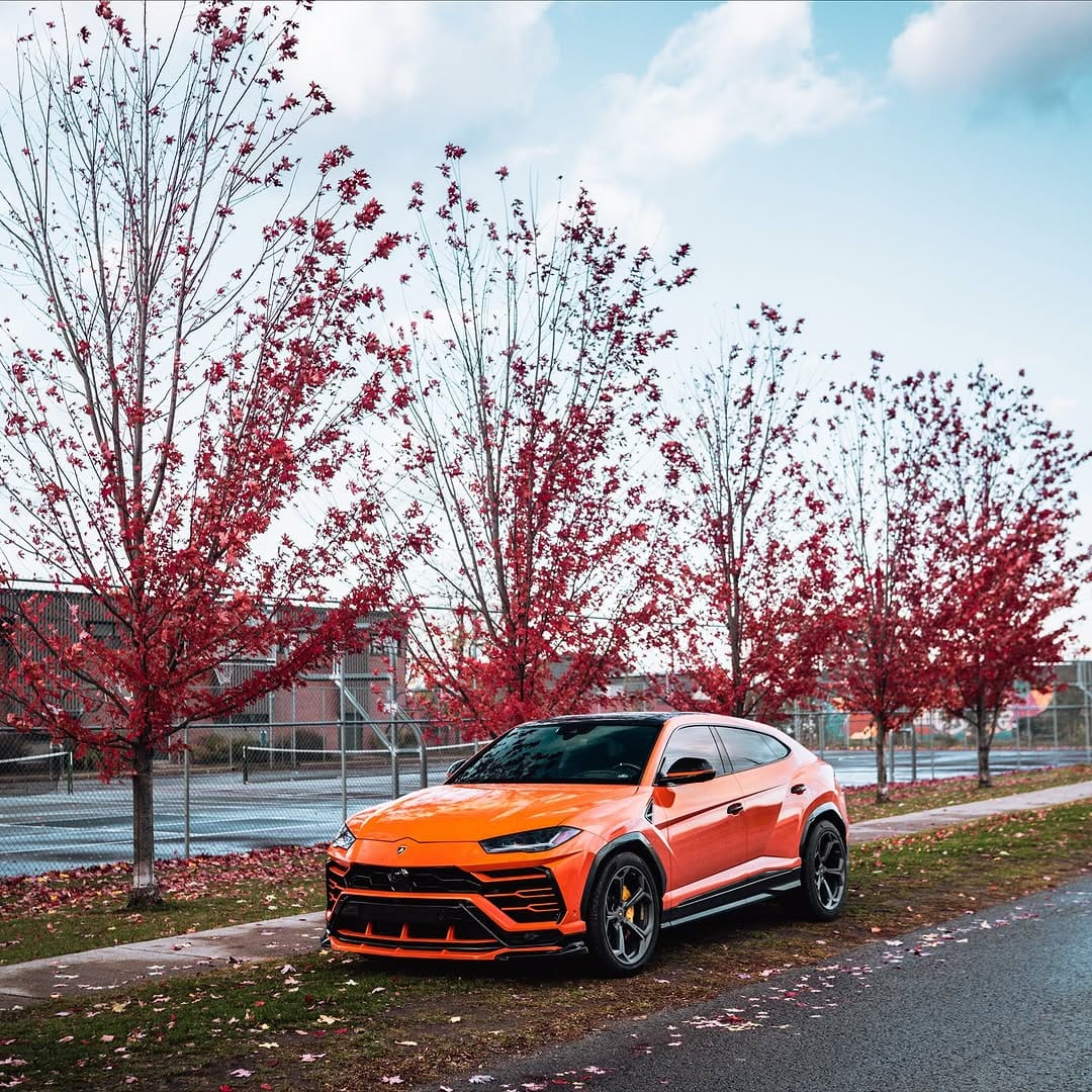 Post 3 by Maxton Design Canada on Instagram (carousel)