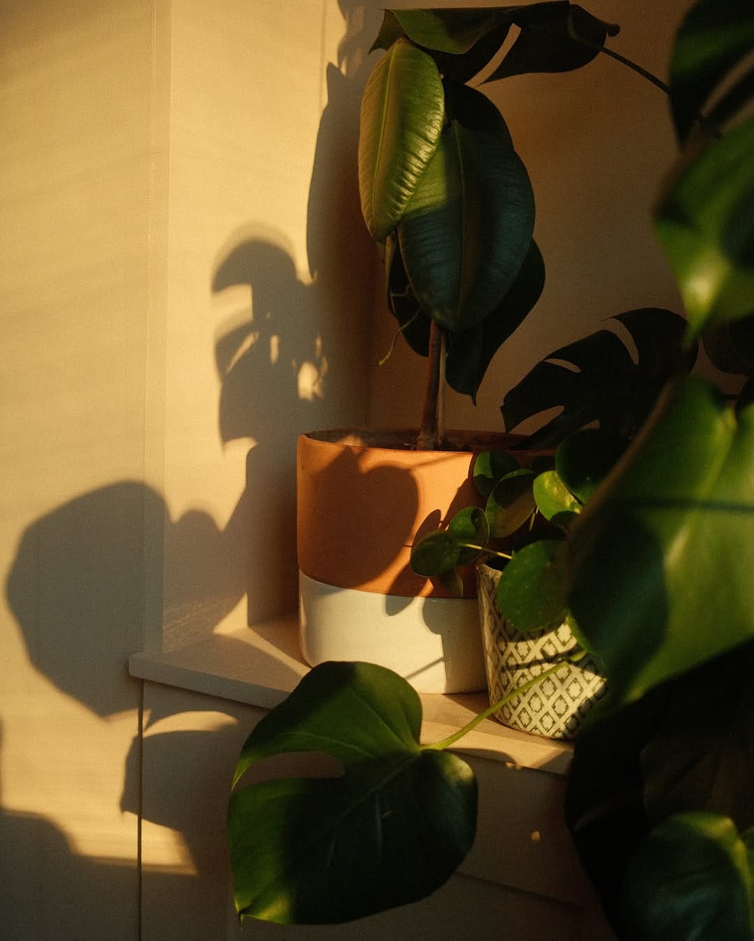 Post 5 by Beyond Bermondsey on Instagram (carousel)