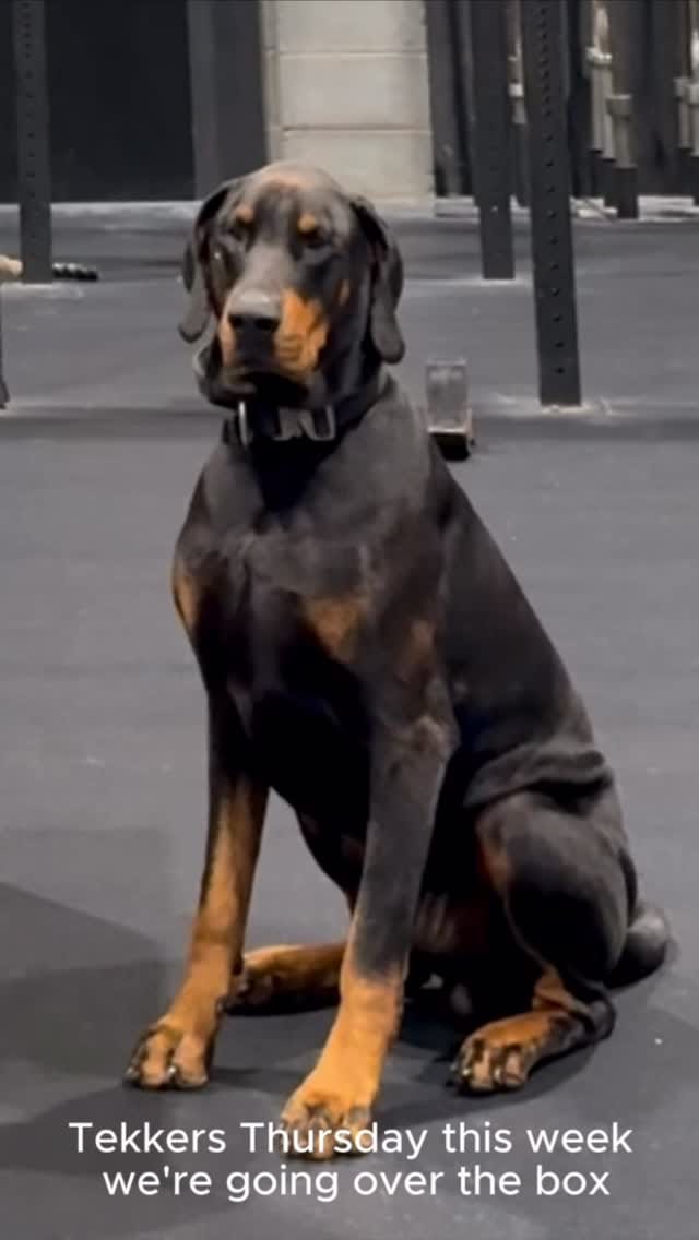 Post 4 by CrossFit 3D on Instagram (video)