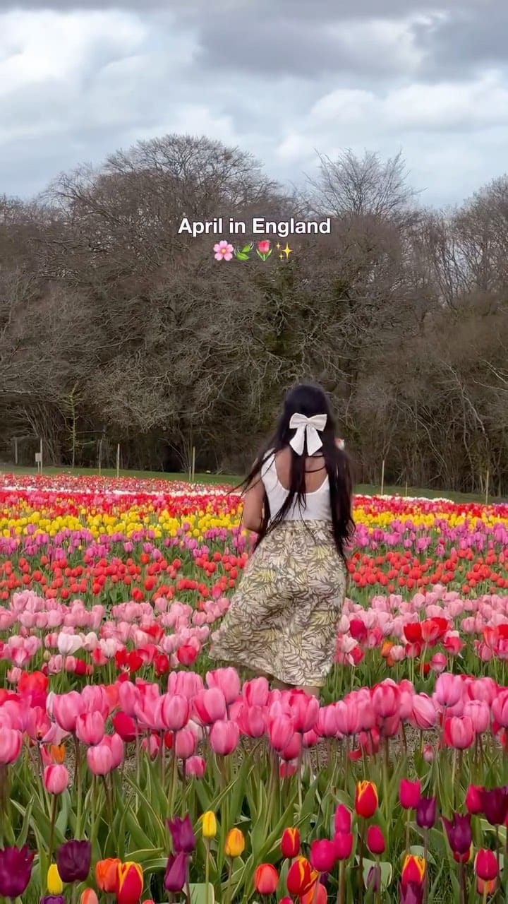 Post 4 by Shwetha Gampala ₊✧⋆London Content Creator on Instagram (video)