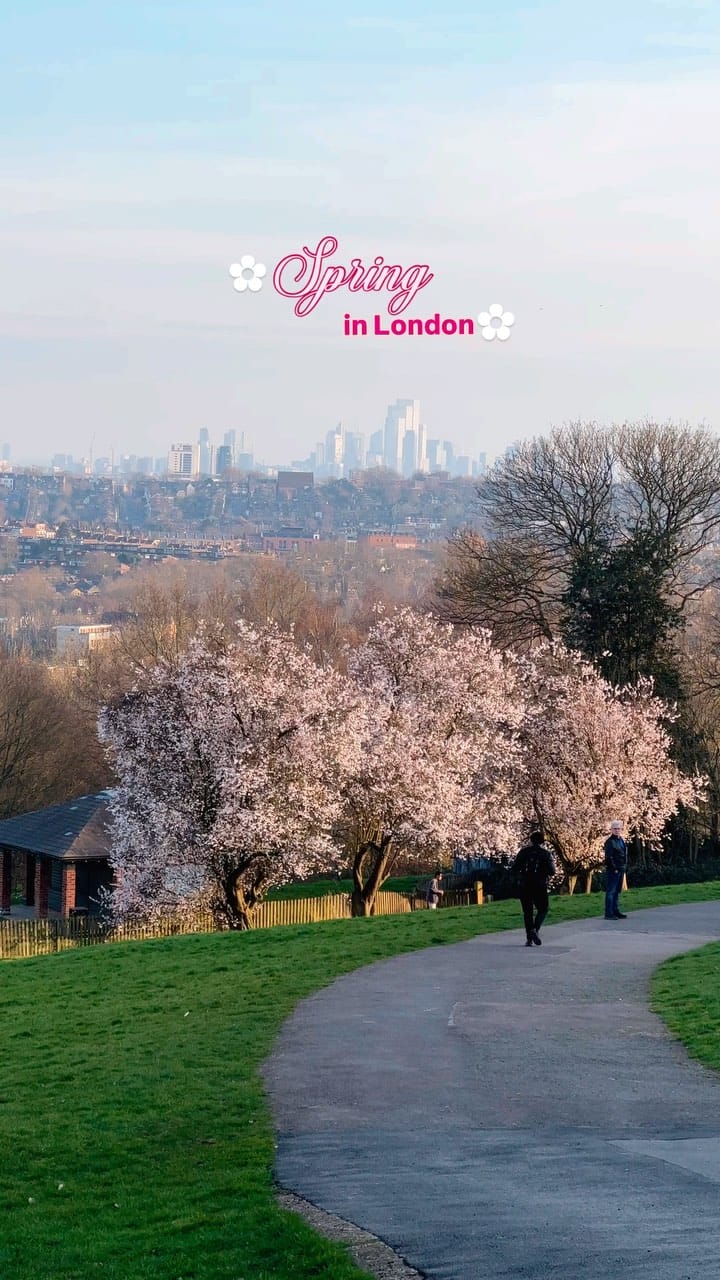 Post 9 by Shwetha Gampala ₊✧⋆London Content Creator on Instagram (video)
