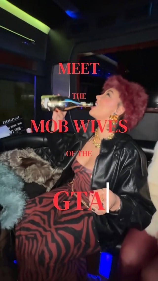 Post 2 by Alicia “Ace” West - Host/MC + Lifestyle Creator in Toronto on Instagram (video)