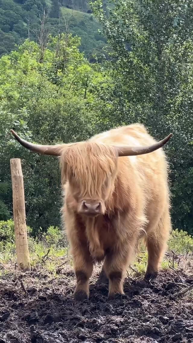 Post 2 by Eileen Aldis on Instagram (video)