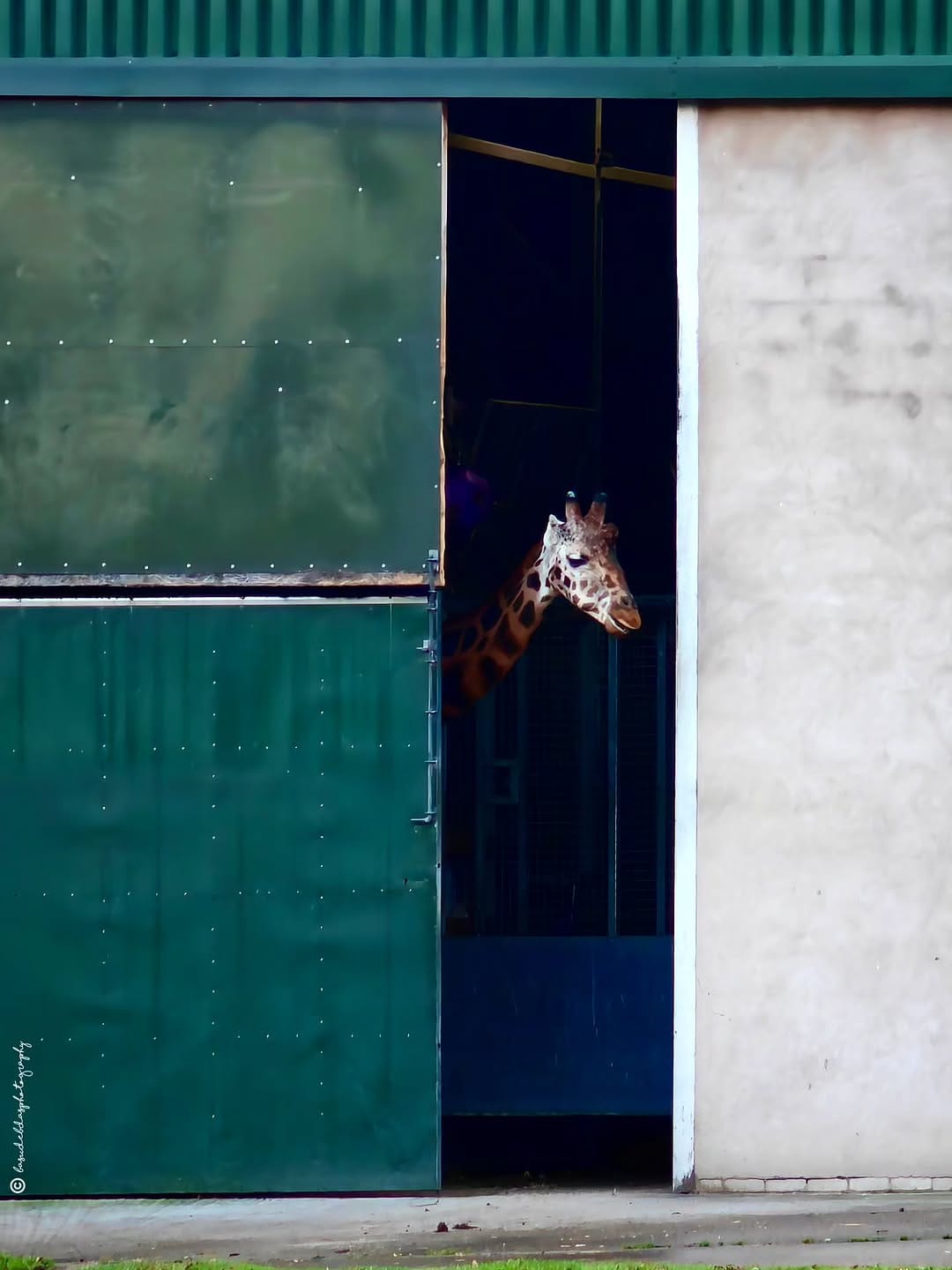 Post 3 by Basudeb Das Photography on Instagram (carousel)