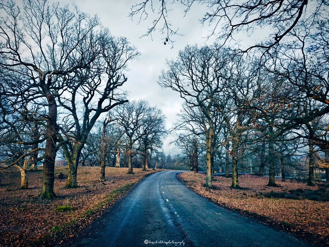 Post 2 by Basudeb Das Photography on Instagram (carousel)