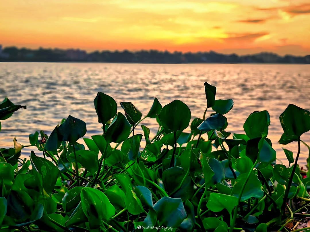 Post 4 by Basudeb Das Photography on Instagram (image)