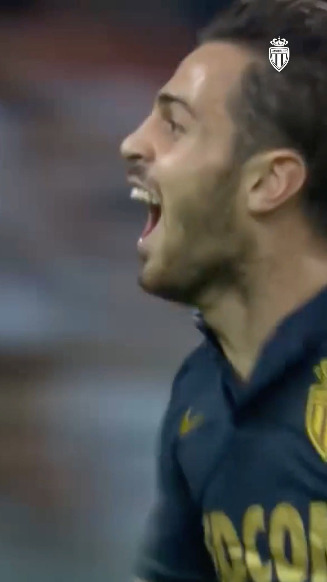 Post 3 by Bernardo Carvalho E Silva on Instagram (video)