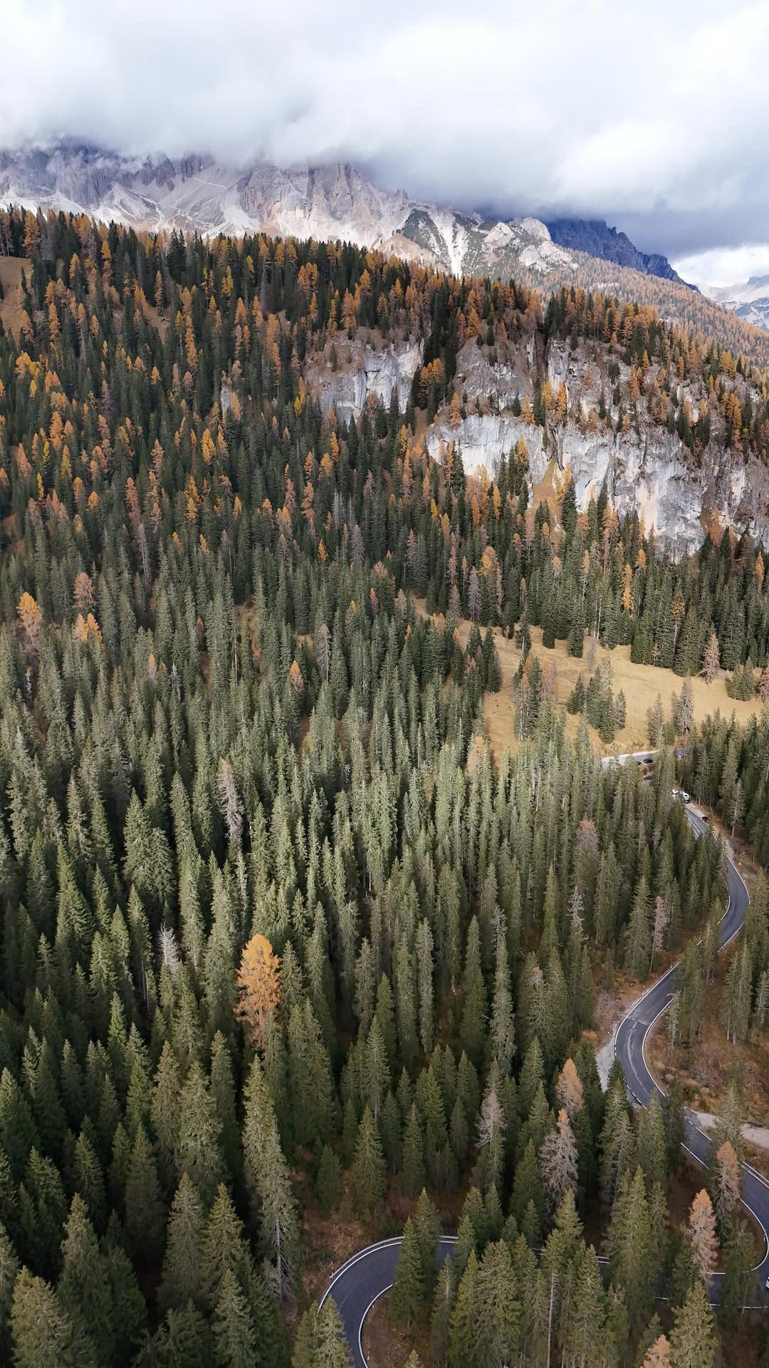 Post 7 by Merv on Instagram (video)