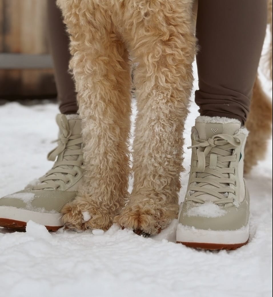 Post 10 by Brock, Brewer & Maddie | Dog Mom Lifestyle on Instagram (carousel)