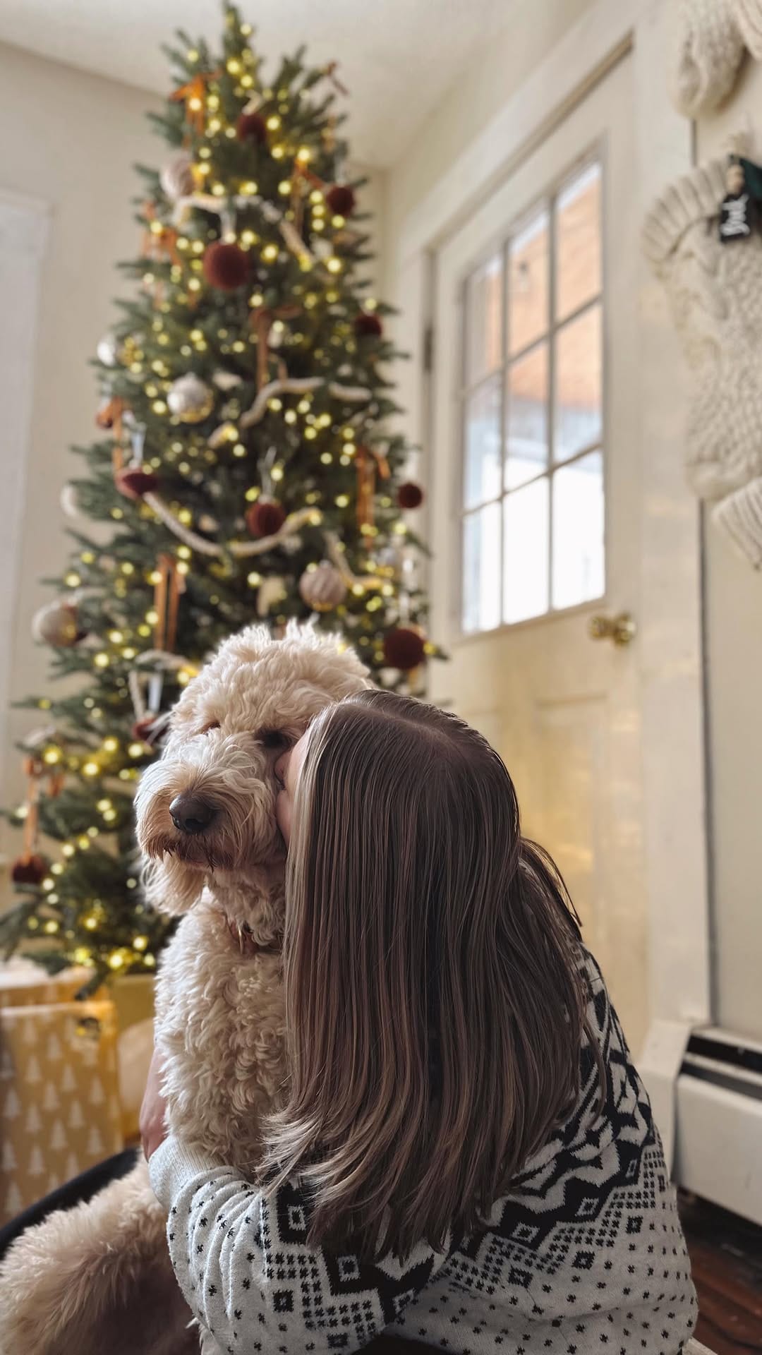 Post 8 by Brock, Brewer & Maddie | Dog Mom Lifestyle on Instagram (video)