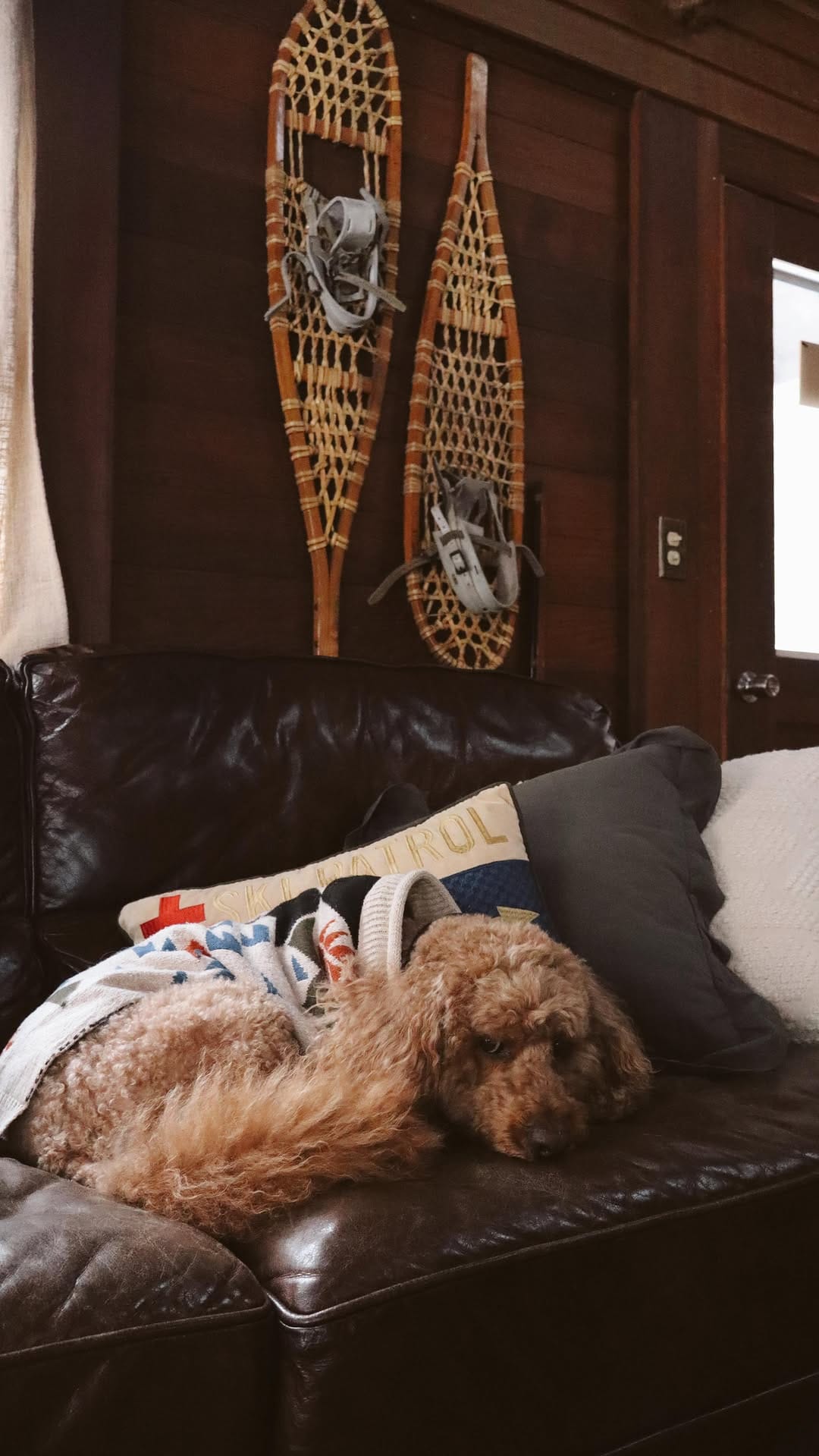 Post 4 by Brock, Brewer & Maddie | Dog Mom Lifestyle on Instagram (video)