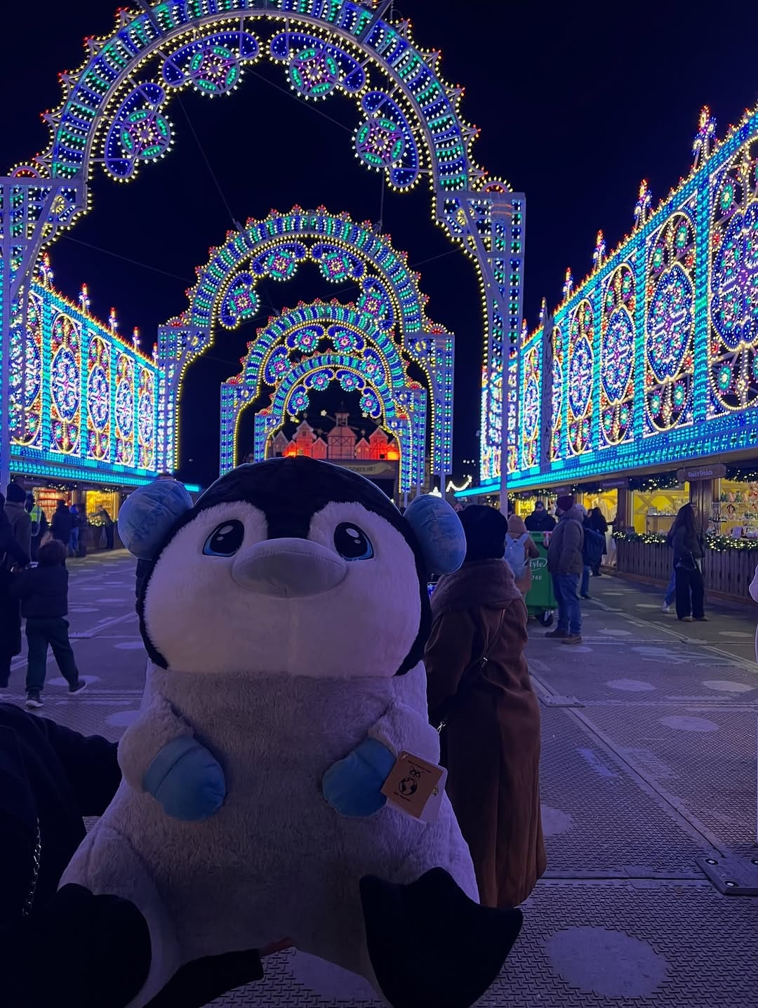 Post 8 by Sehr on Instagram (carousel)