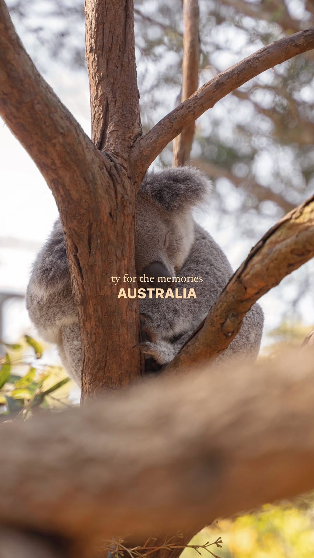 Post 10 by Janice Okes on Instagram (video)