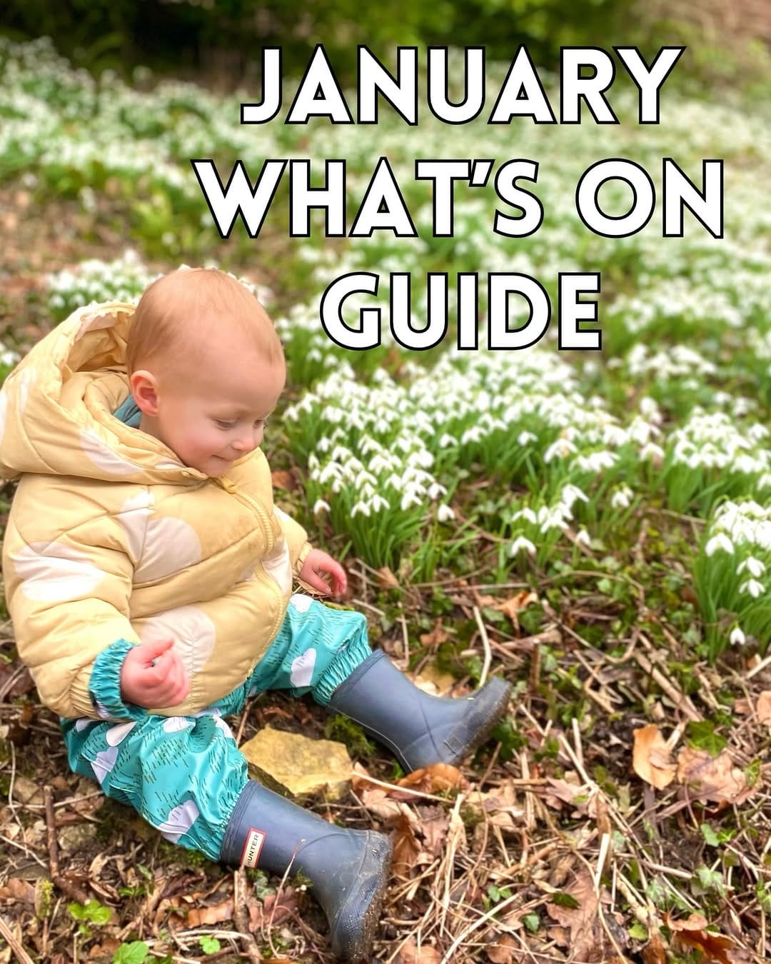 Post 4 by Bristol Family Blog on Instagram (image)