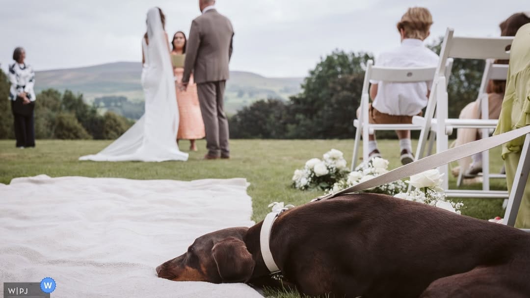Post 1 by Hannah | North Yorkshire Wedding Photographer ✨ on Instagram (image)