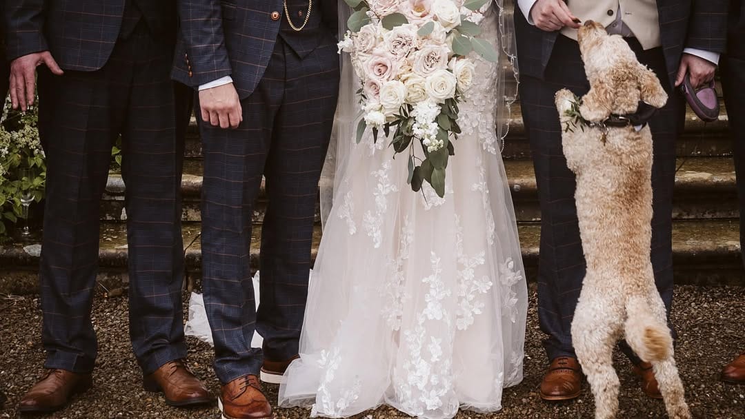 Post 7 by Hannah | North Yorkshire Wedding Photographer ✨ on Instagram (carousel)