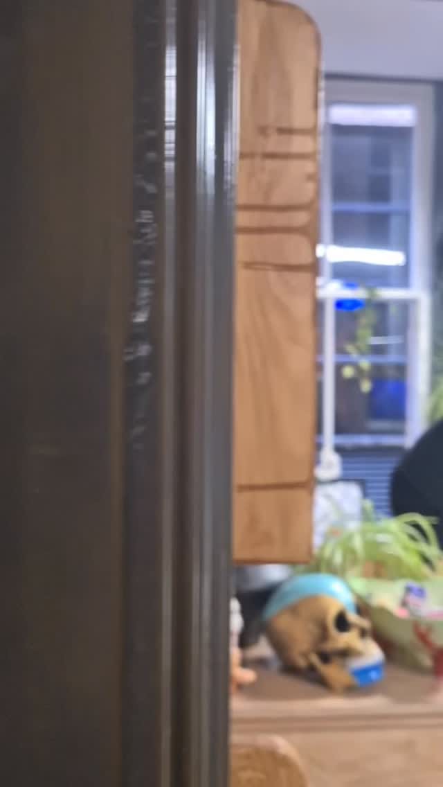 Post 1 by DEVILTOWN ELECTRIC on Instagram (video)