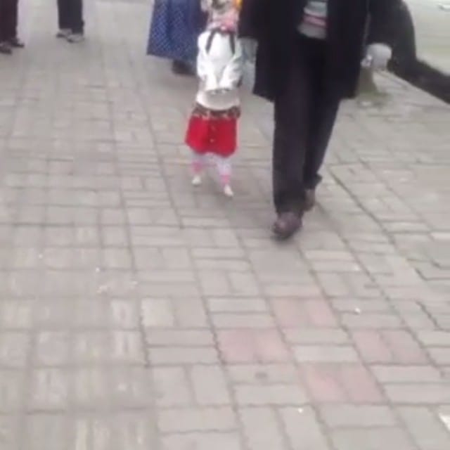Post 6 by Shaghayegh 🇬🇧 on Instagram (video)