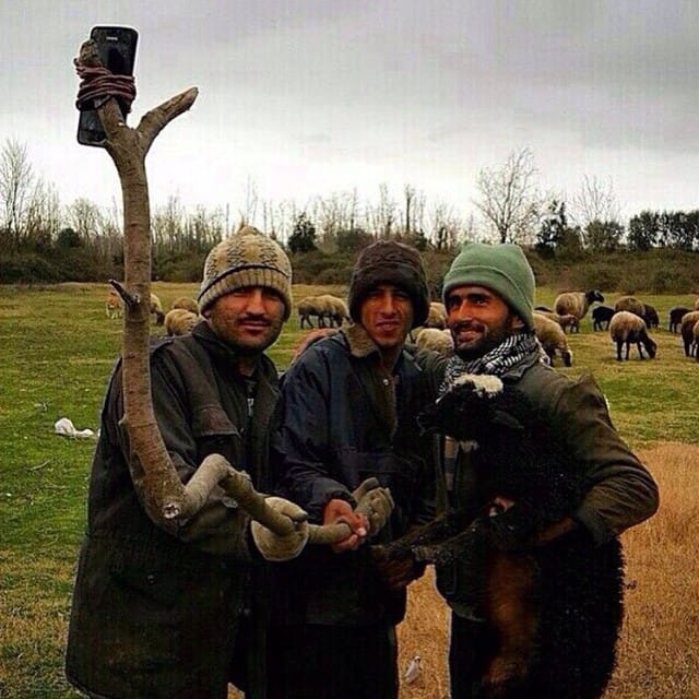 Post 3 by Shaghayegh 🇬🇧 on Instagram (image)
