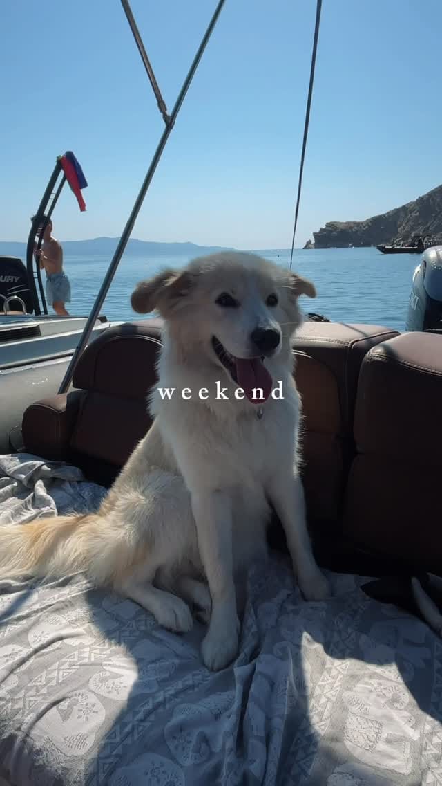Post 8 by Anna on Instagram (video)