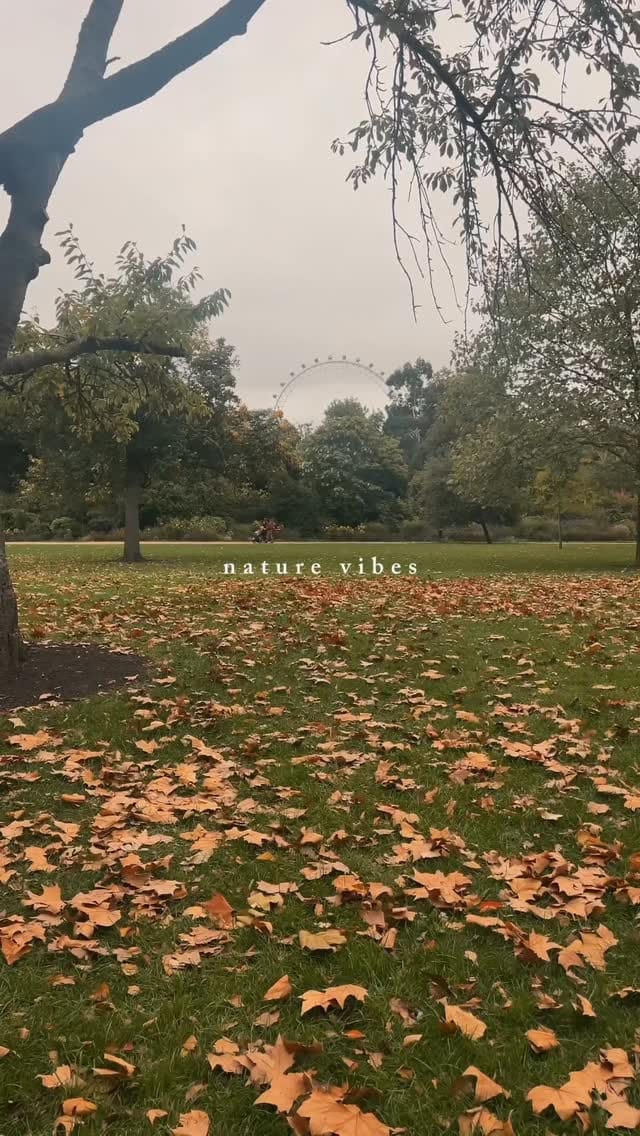 Post 3 by Anna on Instagram (video)