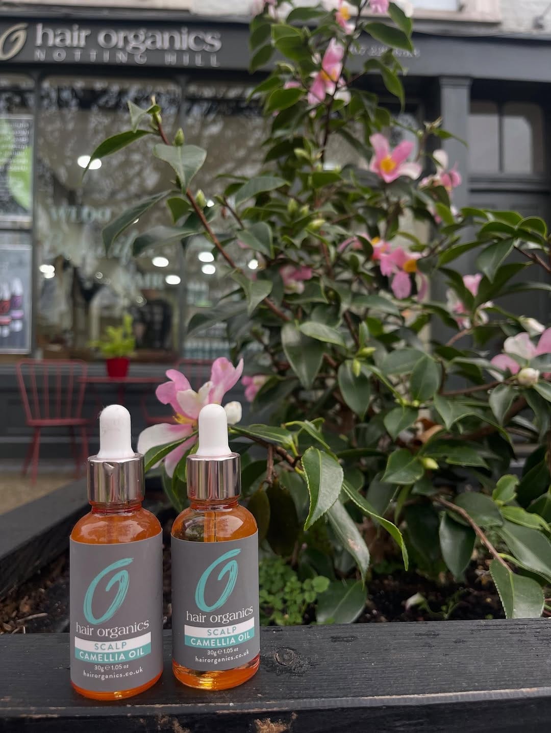 Post 3 by Hair Organics - Notting Hill Hairdressing Salon on Instagram (image)