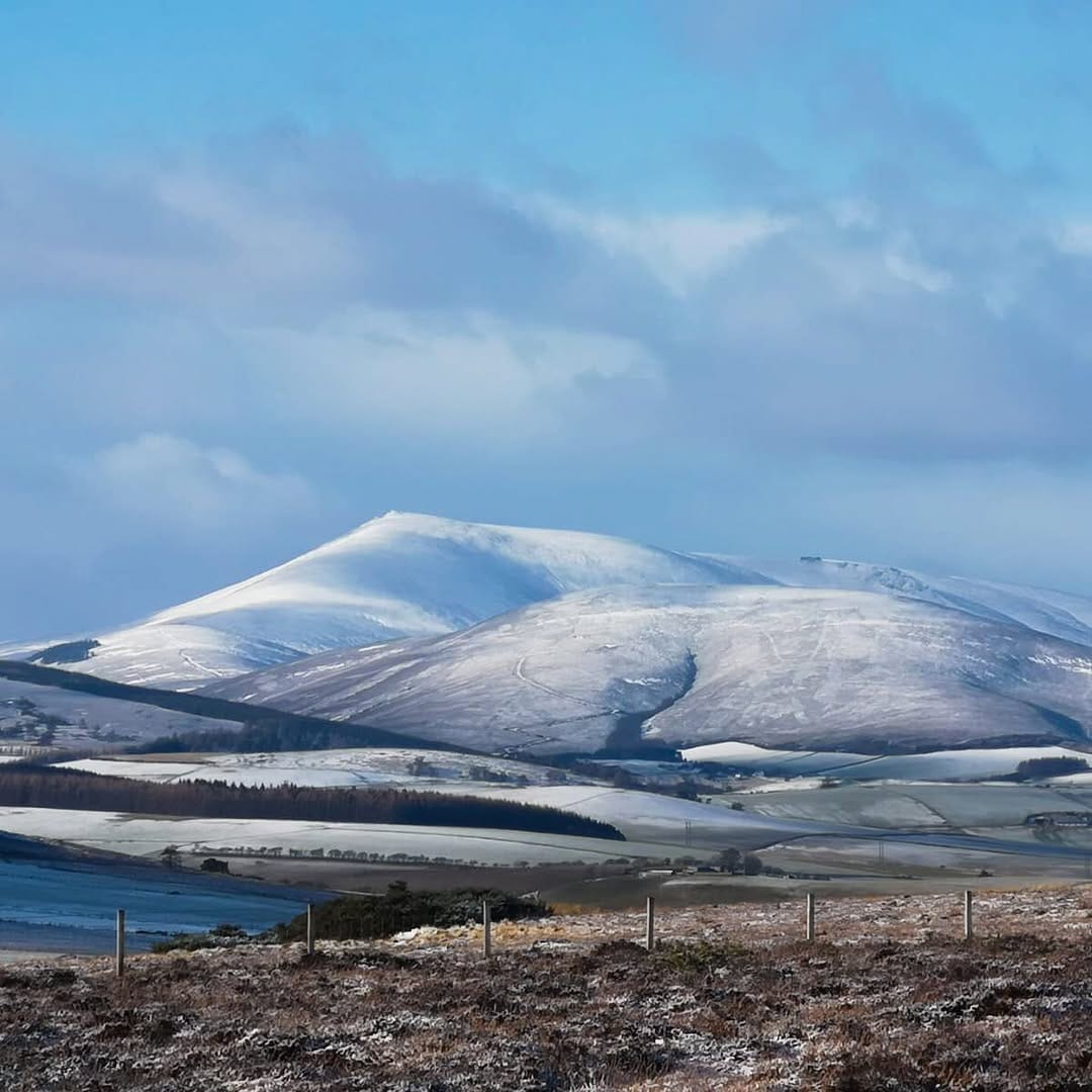 Post 7 by Graham Barrett on Instagram (image)