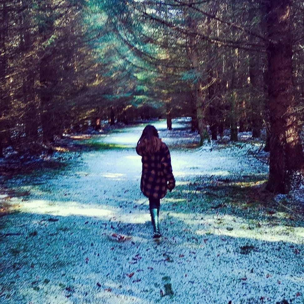 Post 4 by Graham Barrett on Instagram (image)