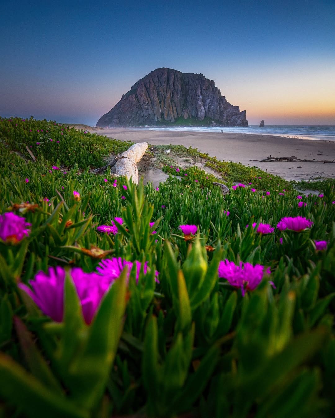 Post 6 by Rohit Gomashe on Instagram (image)
