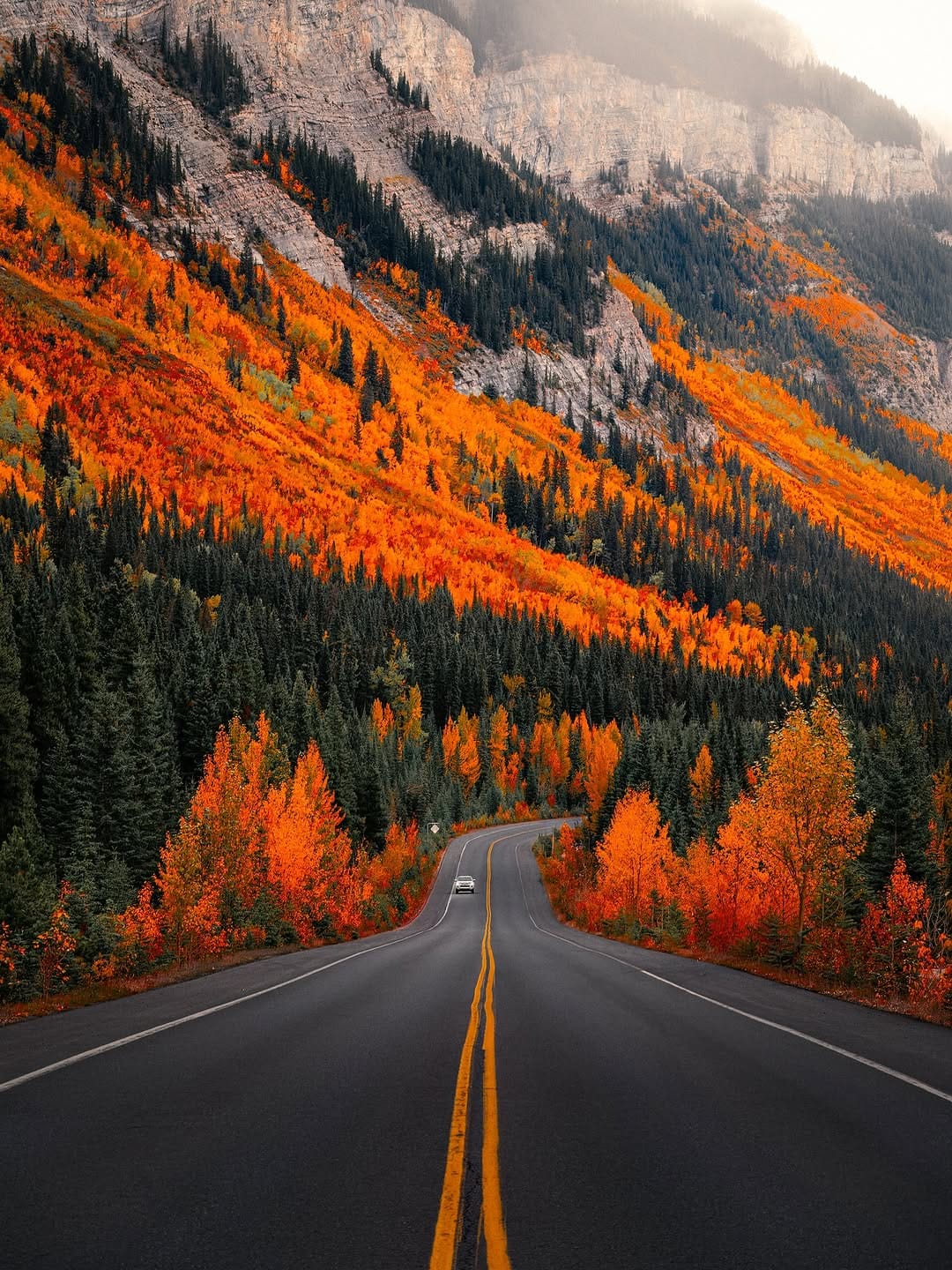 Post 8 by Rohit Gomashe on Instagram (image)