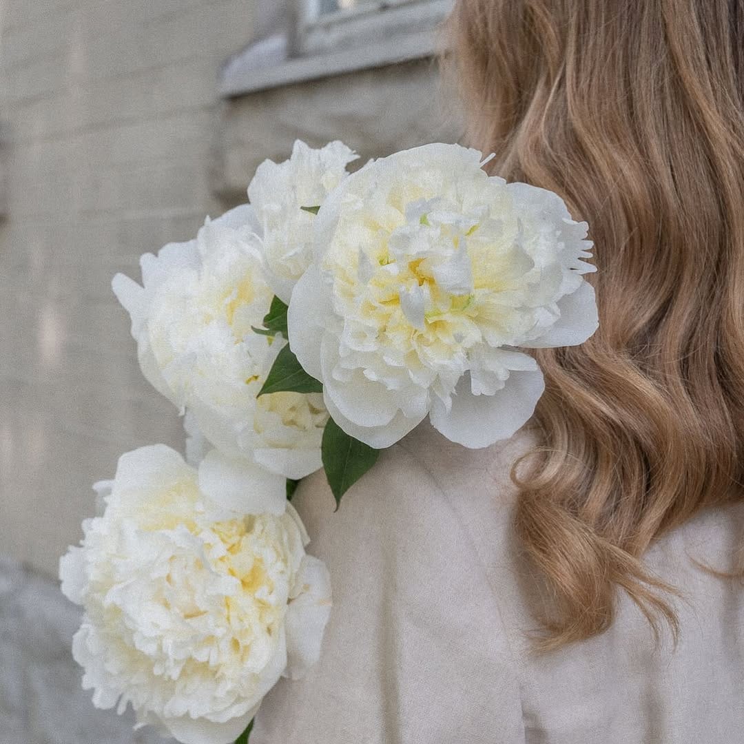 Post 3 by Karla Dreyer Design on Instagram (image)