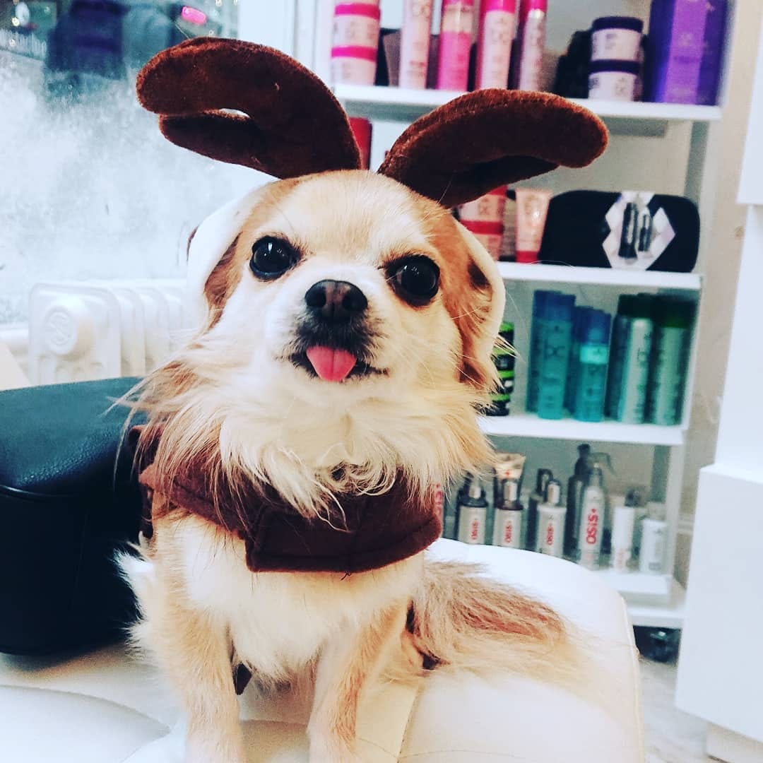 Post 2 by Bellisimos Hair on Instagram (image)