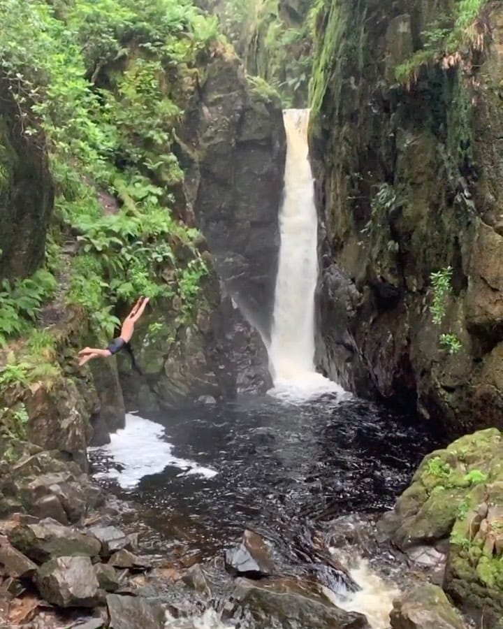 Post 3 by ROARMovement on Instagram (video)