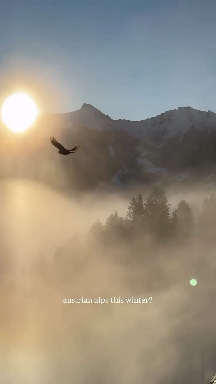 Post 9 by Olga Chagunava on Instagram (video)