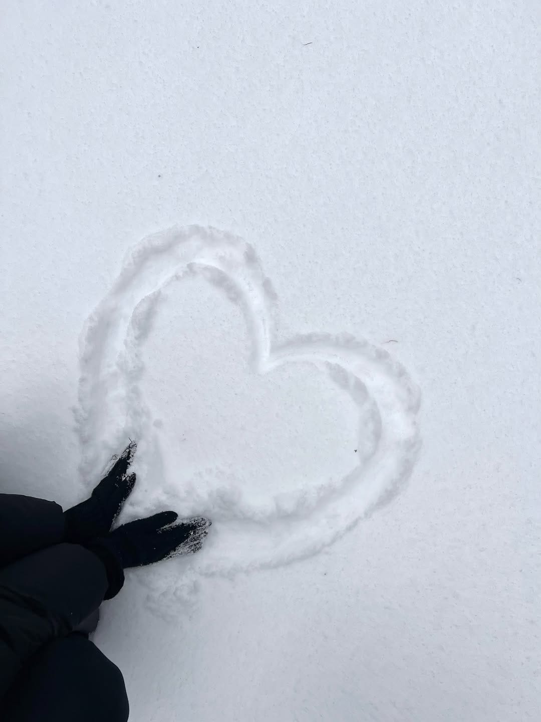 Post 10 by Amy Fraser on Instagram (image)