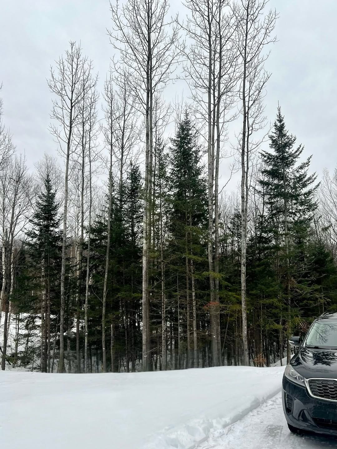 Post 4 by Amy Fraser on Instagram (image)