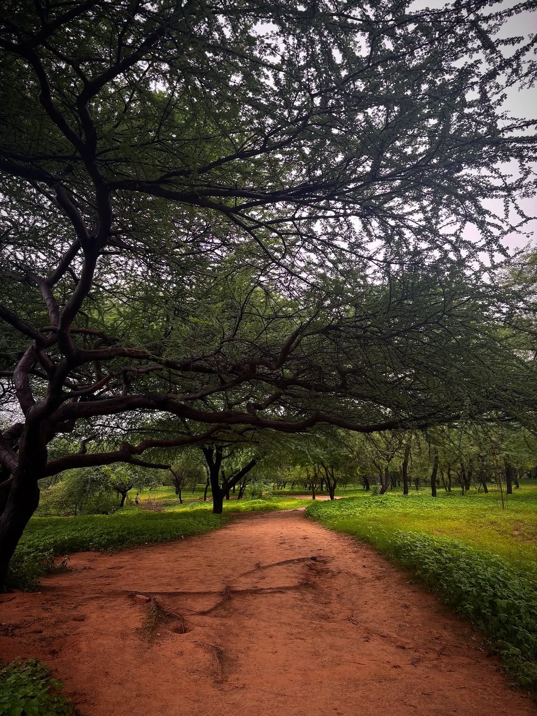 Post 9 by Kapture 📷📷 on Instagram (image)
