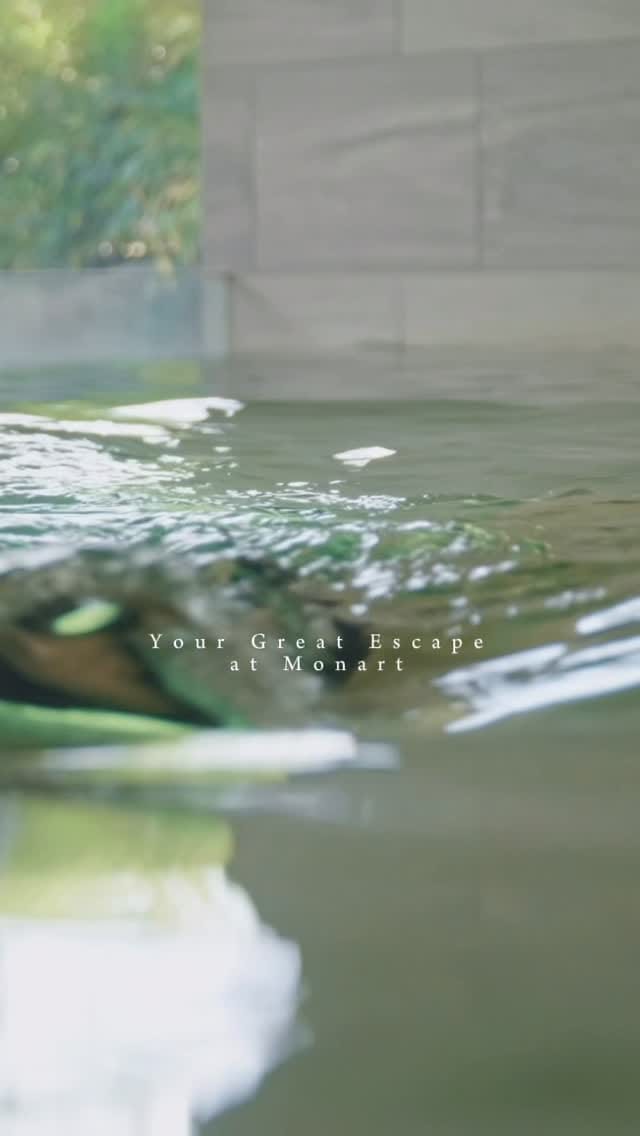 Post 5 by Monart Spa on Instagram (video)