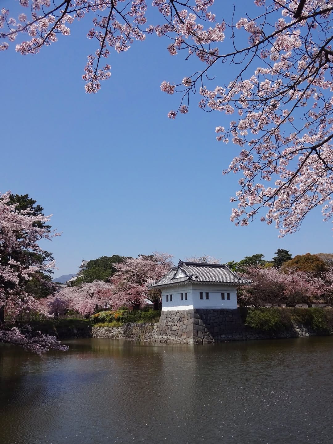 Post 7 by Hayley // Travel Blogger on Instagram (image)