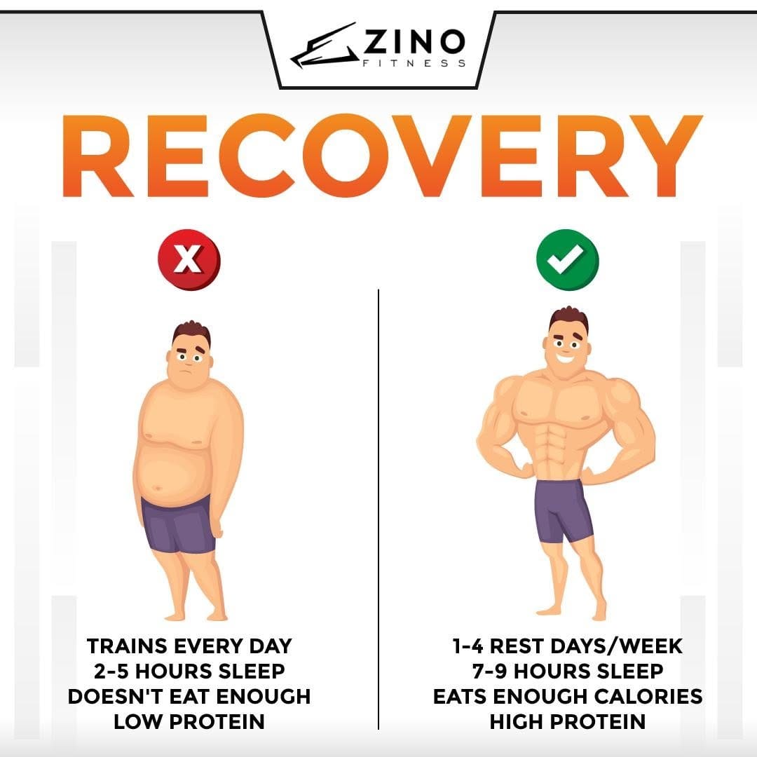 Post 9 by Zino Fitness & Nutrition on Instagram (image)