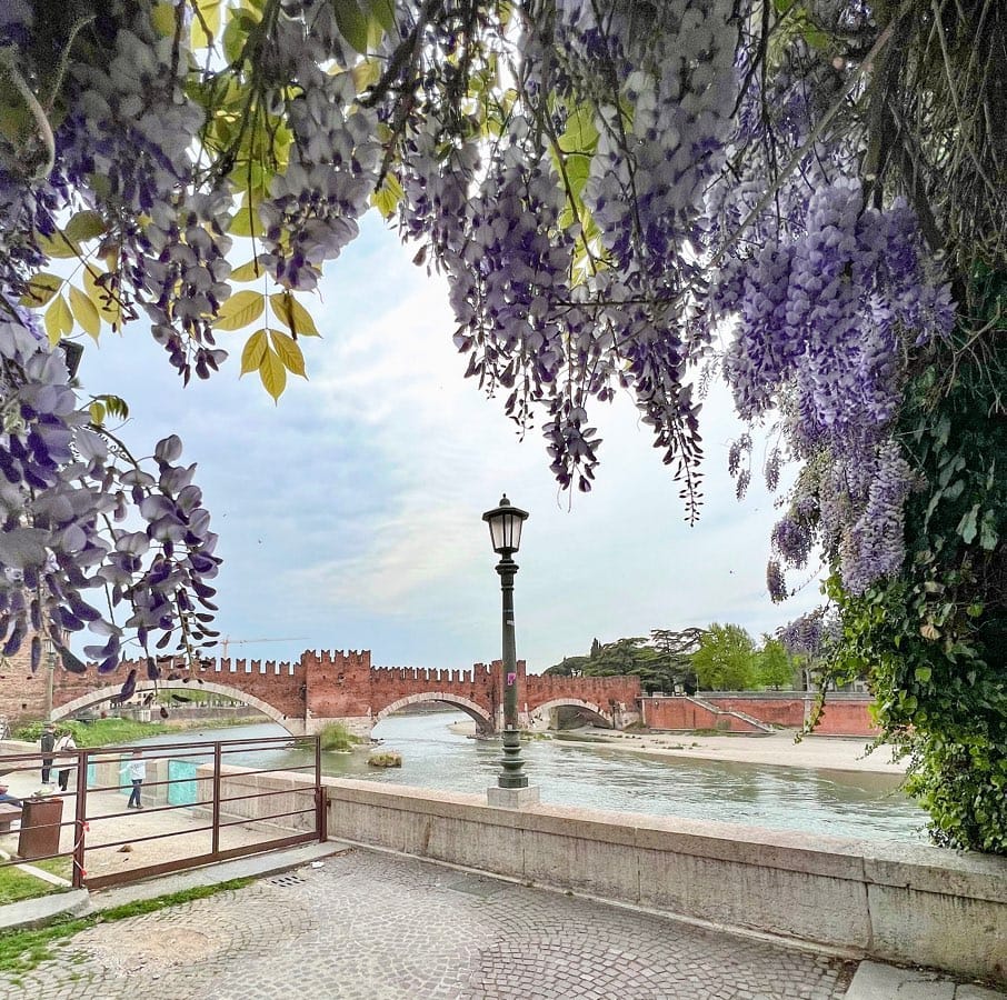 Post 9 by Valeria Musolla on Instagram (image)
