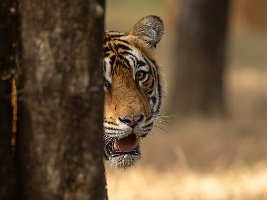Post 4 by Rithika jain on Instagram (image)